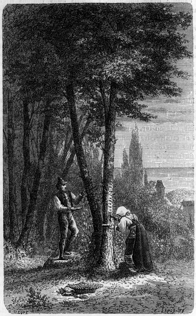 Sammlung von Manna auf rundblättrigen Eschen. Gravur in „Le journal de la jeunesse“ von French School