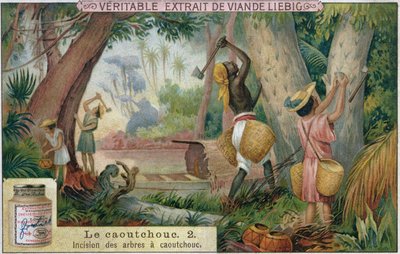 Gummibäume anzapfen, Werbekarte für Veritable Extrait de Viande Liebig, späte 19. Jahrhundert von French School