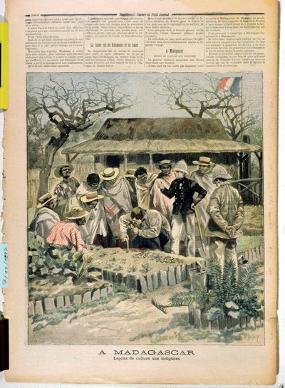 Lehrmethoden des Anbaus für die Einheimischen von Madagaskar, aus Le Petit Journal, 7. November 1896 von French School