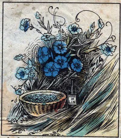 Textil, Leinen. Flachsblume (blau), Stängel aus Stroh und Filamenten zur Herstellung von Leinengarn. Samen in der Medizin verwendet und aus denen Öl für die Industrie gewonnen wird. Gravur von French School