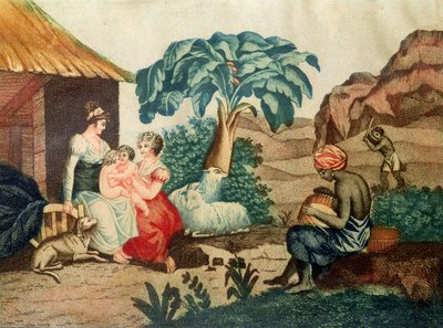 Die Kindheit von Paul und Virginie, aus 
