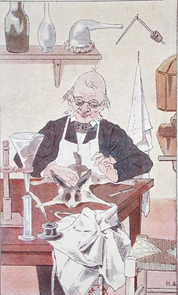 Der Hase und der weise Mann, aus 