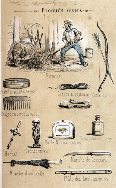 Der Esel und seine Produkte, Gravur von 1860 in „Die lehrreichen Erholungen“ Synoptisches Gemälde von Jules Delbruck. Private Sammlung von French School