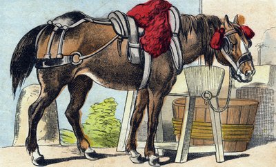 Das Pferd. Gravur in "Buffon Alphabet des Animaux" von French School