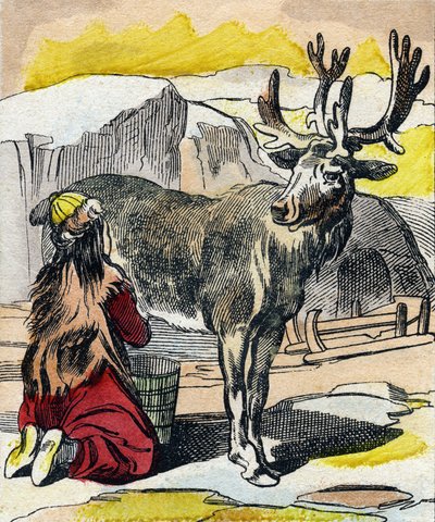 Das melkende Rentier. Gravur in "Buffon Alphabet des Animaux" von French School