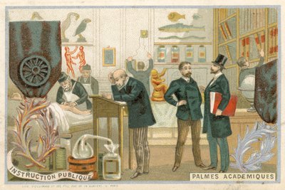 Sammelkarte mit einem Bild des Ordre des Palmes Academiques von French School