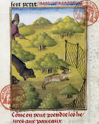 Falle für Hasen und Jagdhunde - im „Jagd-Buch von Gaston Phoebus, Graf von Foix, Herr von Béarn“ von French School