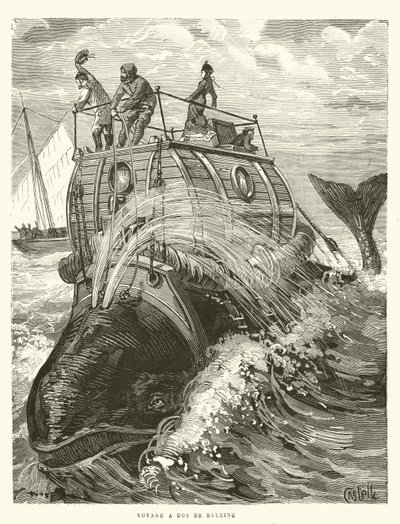 Reise auf dem Rücken eines Wals von French School