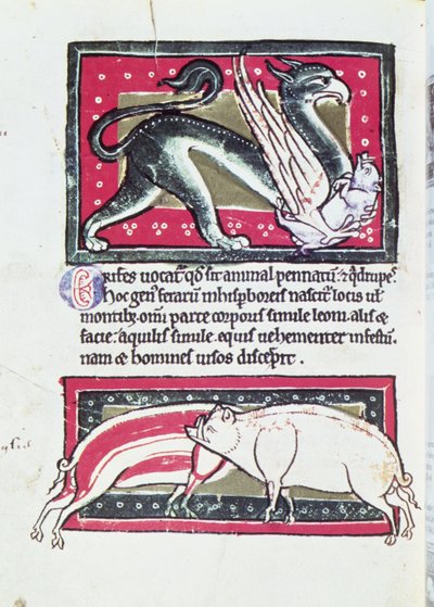 Wildschwein und Greif, Miniatur aus dem Saltykowchsh Edrin Bestiarium von French School