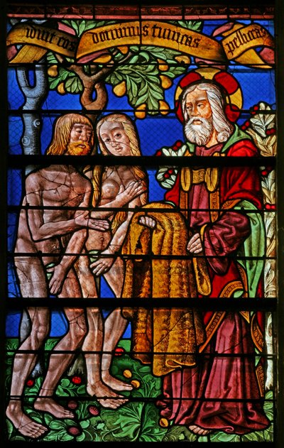 Fenster w40, Adam und Eva erhalten Kleidung darstellend von French School