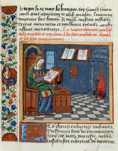 Frau, die das Buch der Klugen und Unklugen von Catherine d