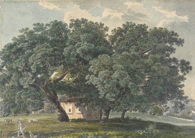 Italienische Landschaft mit Bäumen recto, 1815-21 von Friedrich Salathé