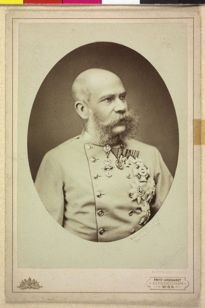 Franz Joseph I. von Fritz Luckhardt