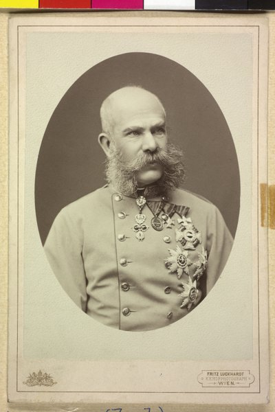 Franz Joseph I. von Fritz Luckhardt