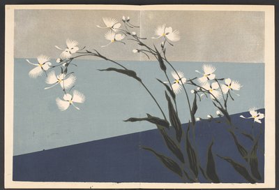Shasei sôka môyô, Muster von Pflanzen und Blumen aus dem Leben von Furuya Korin