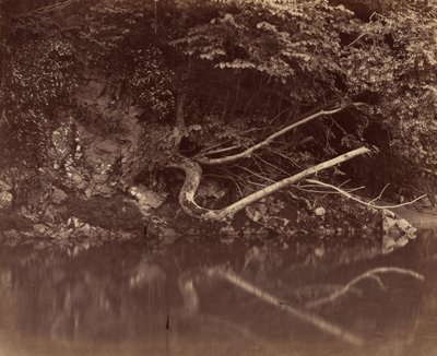 Flussufer im Vale of Neath von G.B. Gething