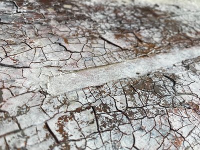 Rissige weiße Oberfläche von Gabriela Aleksandra Szuba