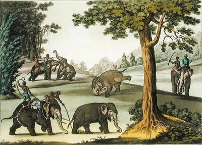 Elefantenfang in Burma, Tafel 76 aus 