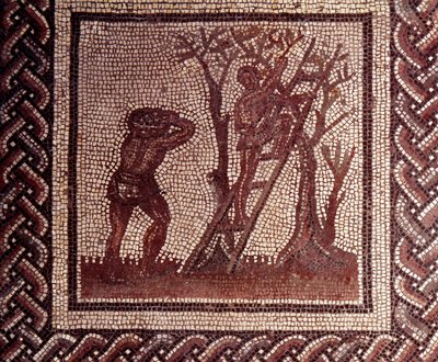 Gallorömische Kunst: Mosaikpflaster, das einen rustikalen Kalender darstellt. Olivenernteszene. Ende 2., Anfang 3. Jahrhundert n. Chr. Aus Saint-Romain-en-Gal (Rhône). Saint-Germain-en-Laye, Nationalmuseum für Archäologie von Gallo Roman