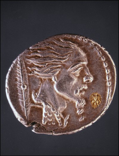 Vermutliches Profil von Vercingetorix auf einem gallischen Stück. Museo del Medagliere. Mailand von Gaulish Gaulish