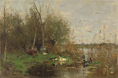 Enten neben einem Entenhaus an einem Graben von Geo Poggenbeek