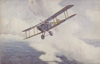 Sopwith Dolphin Jagdflugzeug von Geoffrey (after) Watson