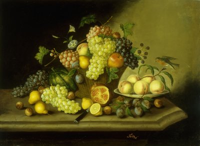 Stillleben mit einem Korb voller Trauben und gemischtem Obst auf einem Stein Sims von Georg Seitz
