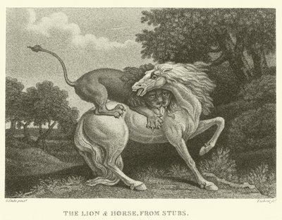 Der Löwe und das Pferd, von Stubs von George (after) Stubbs