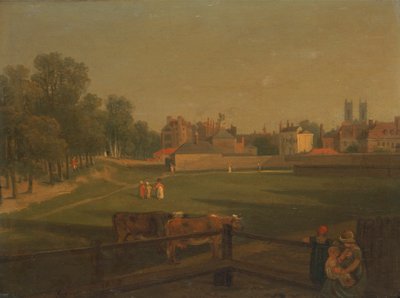 Eine westliche Ansicht eines Teils von Westminster und Bird Cage Walk vom Mill House aus von George Arnald