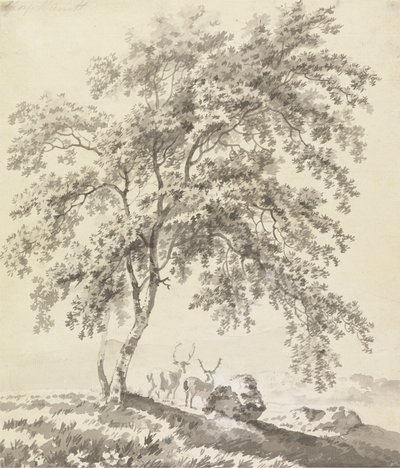 Baumstudie mit Hirschen (Landschaft) von George Barret