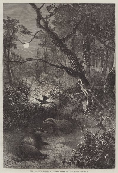 Das Versteck des Dachses, eine Sommernacht im Wald von George Bouverie Goddard