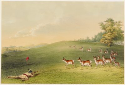 Antilopenjagd von George Catlin