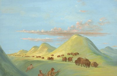Batiste, Bogard und ich nähern uns Büffeln am Missouri von George Catlin