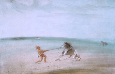 Das wilde Pferd zähmen von George Catlin