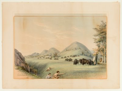 Büffeljagd; Annäherung in einer Schlucht--Nr. 11 von George Catlin