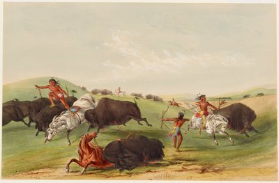 Büffeljagd: Verfolgung von George Catlin