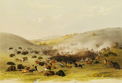 Büffeljagd, Umzingelung, ca. 1832 von George Catlin