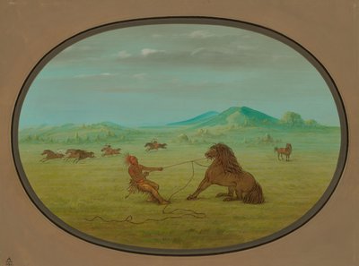 Wilde Pferde fangen - Pawnee von George Catlin