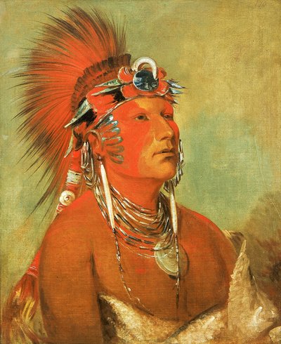 Jee-hé-o-hó-shah, Kann Nicht Umgeworfen Werden, ein Krieger von George Catlin