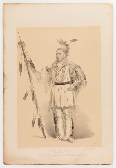 Joc-o-sot, der wandelnde Bär von George Catlin