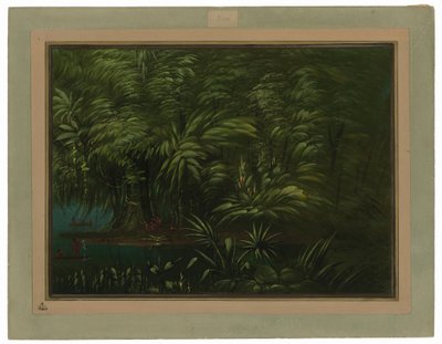 Üppiger Wald am Ufer des Amazonas von George Catlin