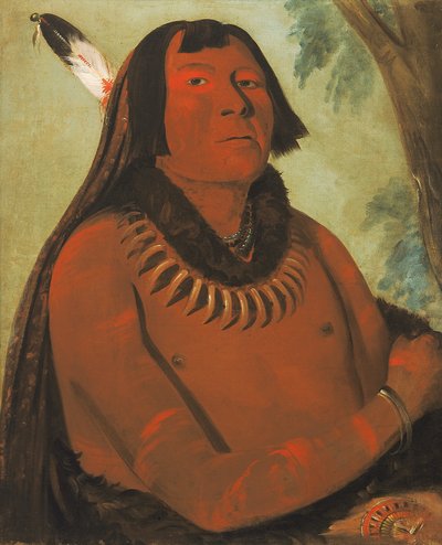 Mah-táhp-ta-a, Eilt durch die Mitte, ein Tapferer von George Catlin