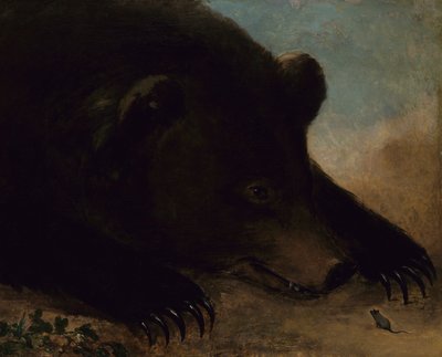 Porträts eines Grizzlybären und einer Maus, Lebensgröße von George Catlin