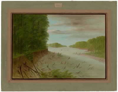 Szene vom unteren Mississippi von George Catlin
