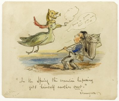 Im Frühling bekommt der lüsterne Kiebitz einen neuen Schopf von George Cruikshank