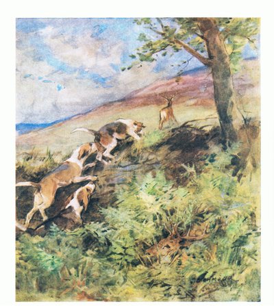 Der alte Hirsch legte sich in Rustys Bett, während die jüngeren Hirsche mit den Hunden in Verfolgung aufbrachen von George Denholm Armour