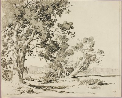 Ohne Titel von George Elbert Burr