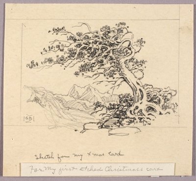 Skizze für Weihnachtskarte (Windswept Pine [Nr. 1]) von George Elbert Burr