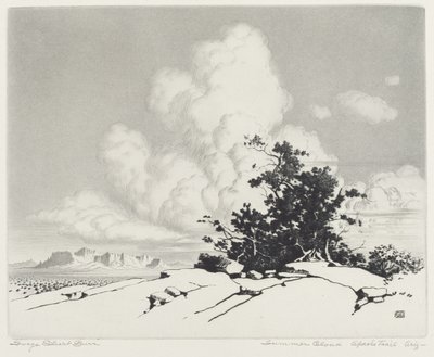 Sommerwolke, Apache Trail, Arizona von George Elbert Burr