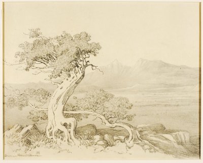 Ohne Titel (Transferzeichnung für Alte Zedern und Spanische Gipfel) von George Elbert Burr